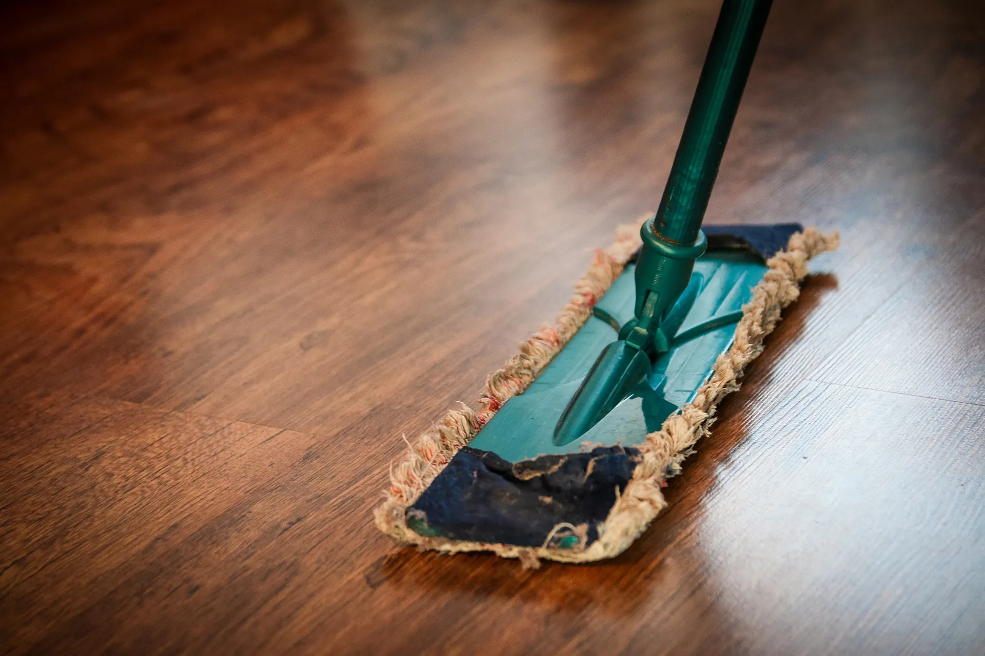 Cleaning Products: What to Look for When Selecting the Right Solutions